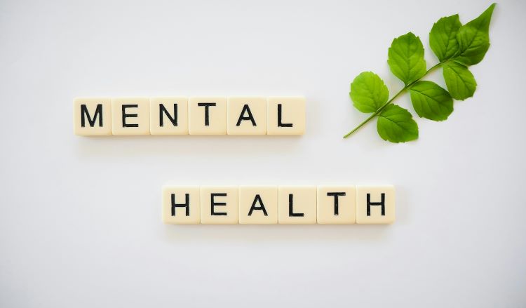 Words Mental Health and a leaf beside it.